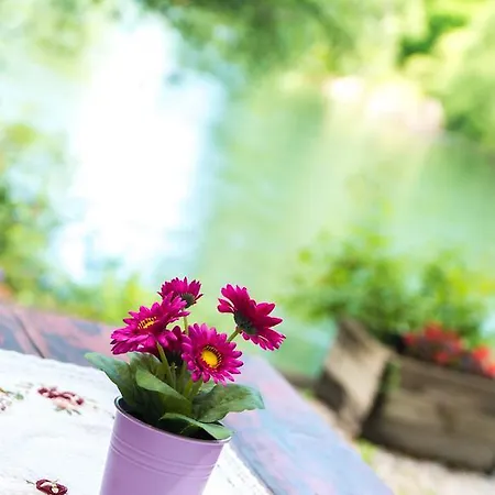 Tatil Evi With Private River Beach
